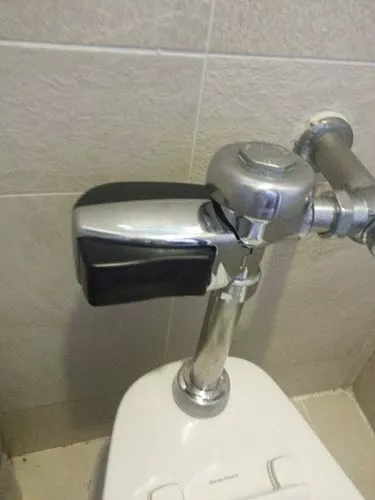 Automated toilet flusher