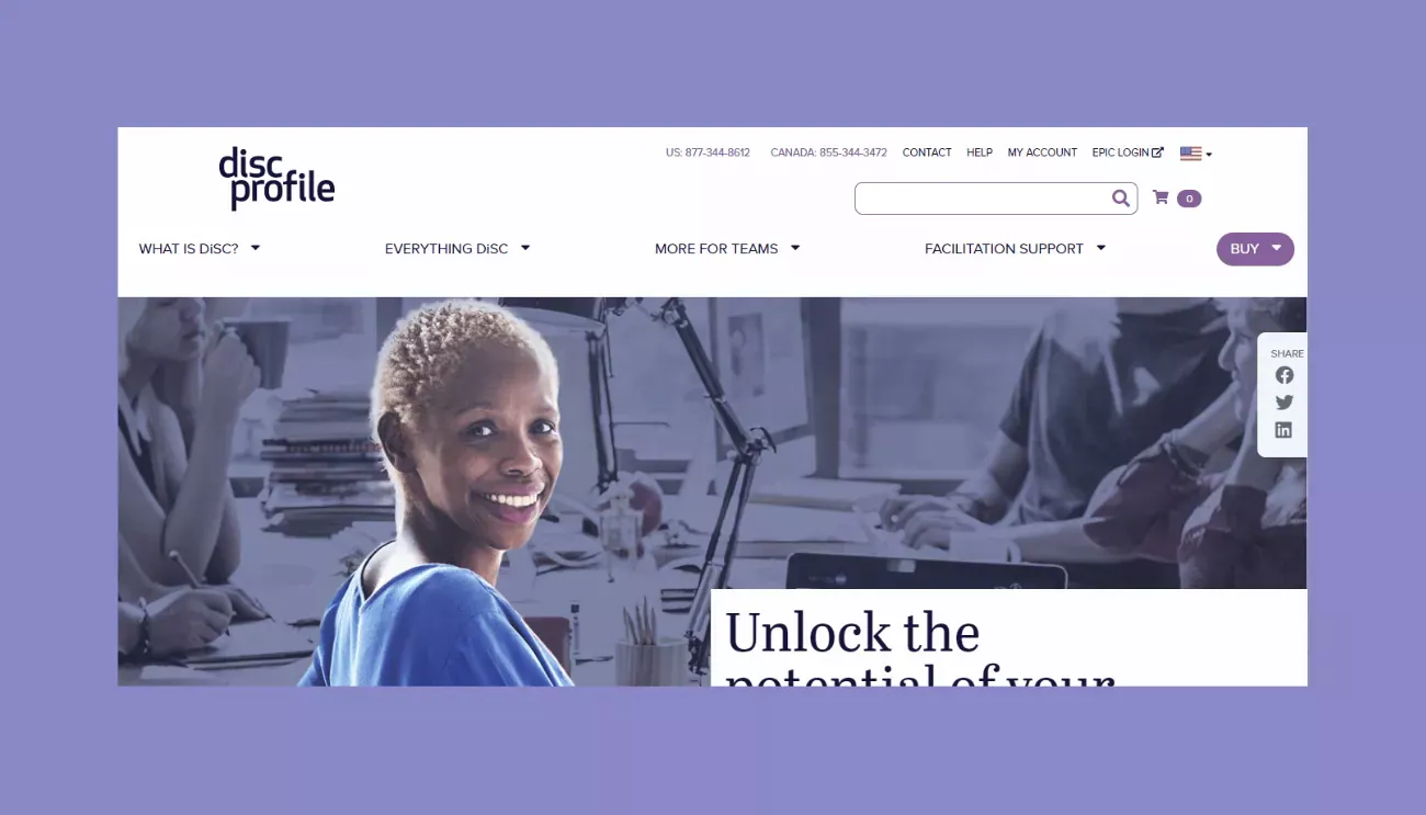Screenshot of new DiSC Profile website.