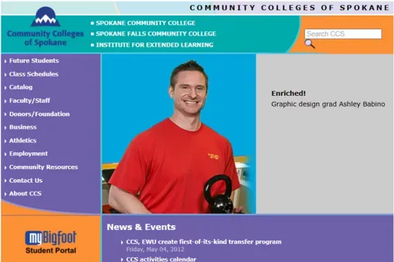 The CCS website in 2013, prior to rebuild